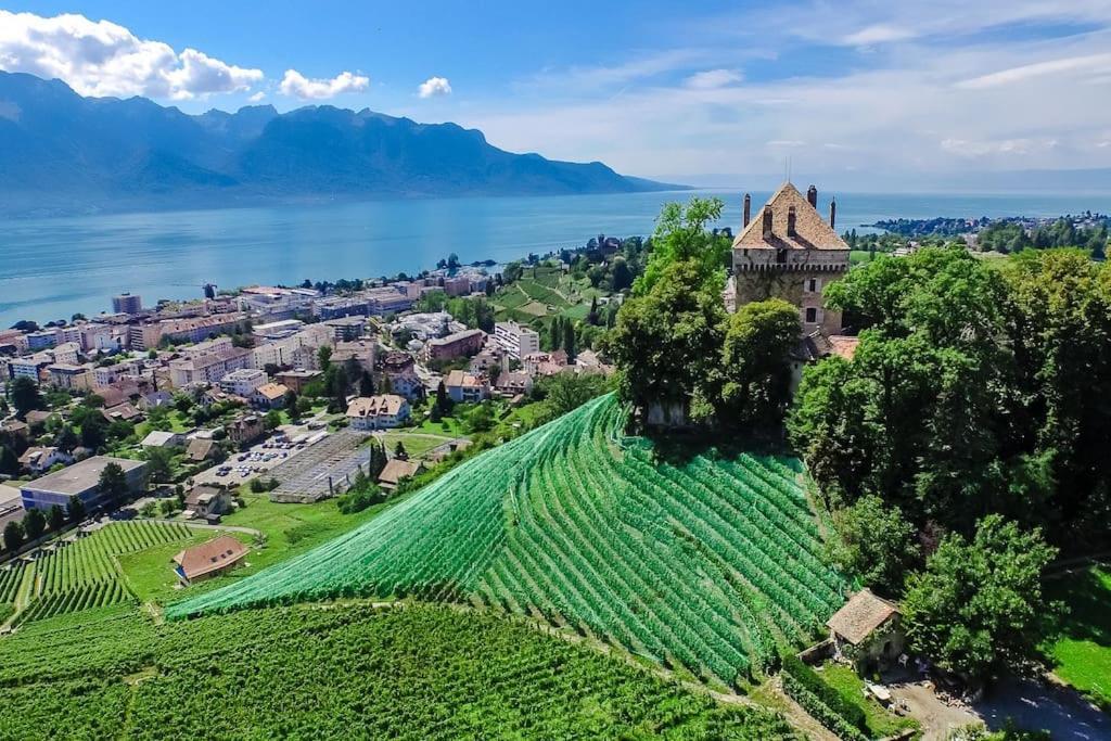 Brilliant Apartment In Chateau Du Chatelard Montreux Bagian luar foto